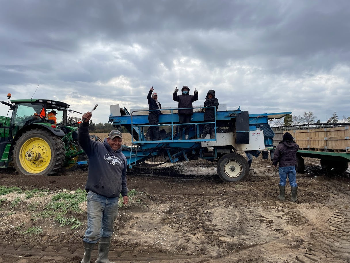Load video: Canadian Vita - Good Ginseng Grown By Good People