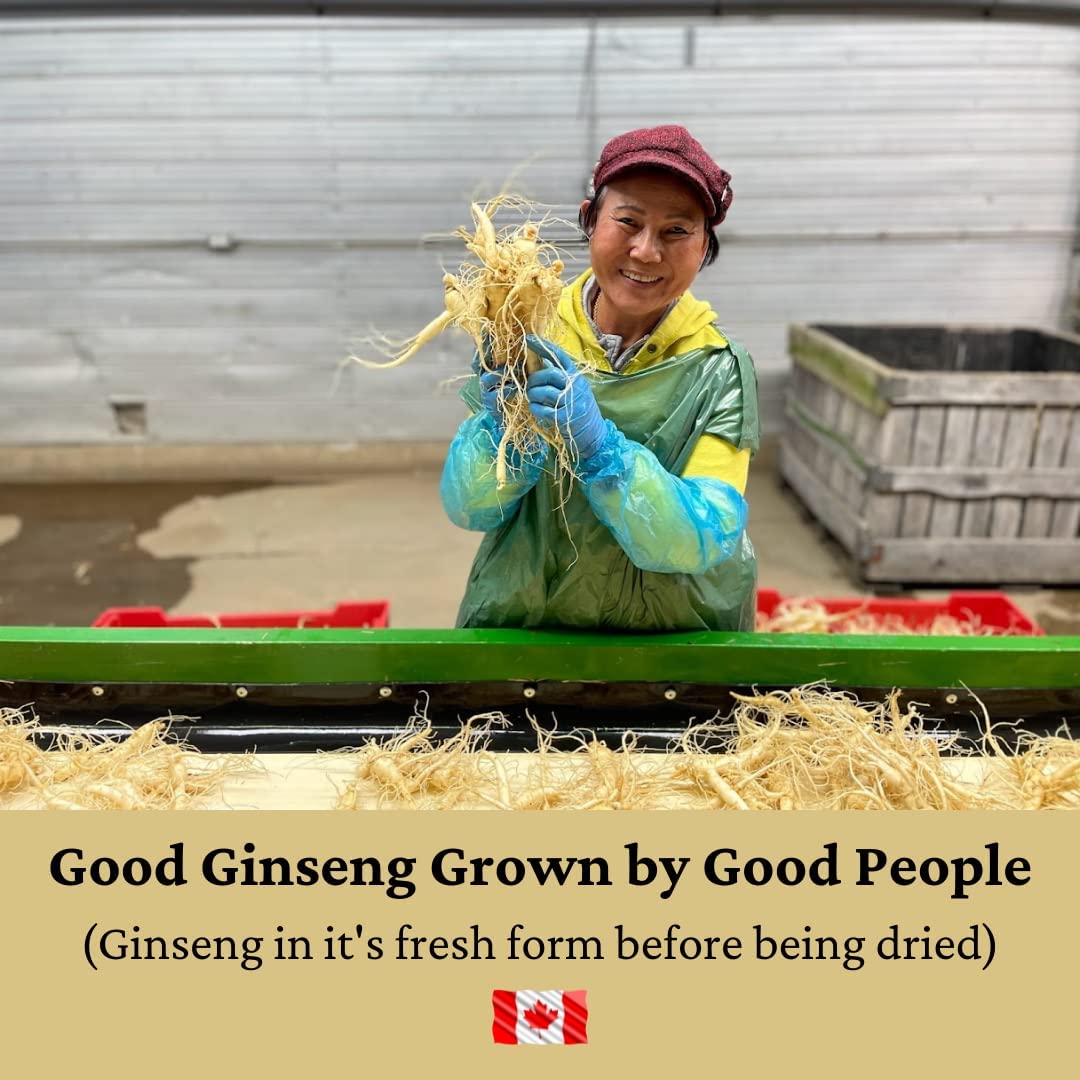 Canadian Vita Ginseng Slices - 50 grams